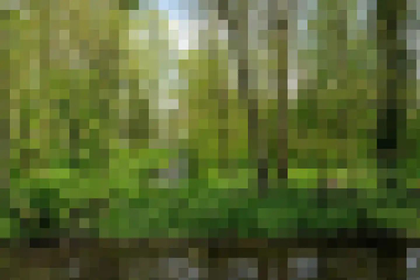 De Finne 7 Ysbrechtum thumbnail 65
