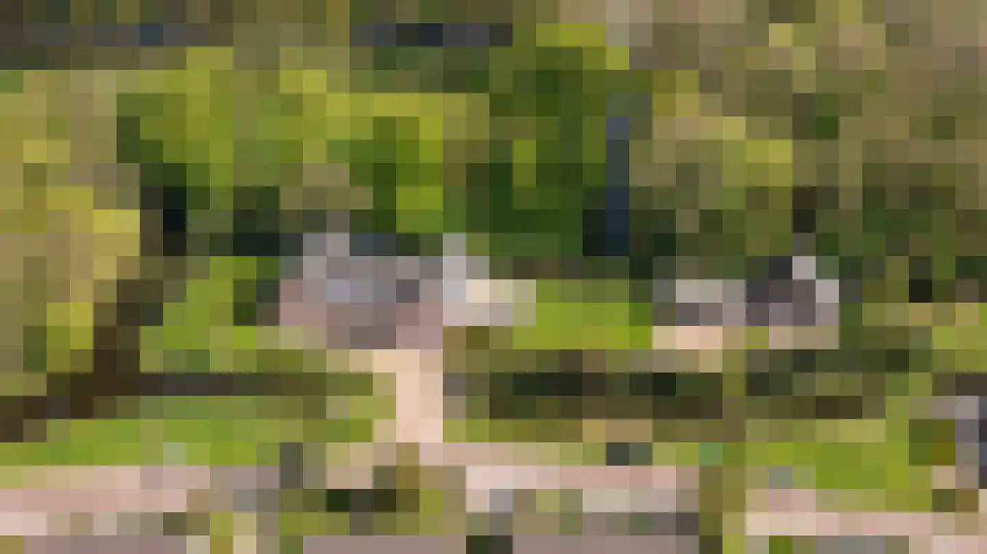 De Finne 7 Ysbrechtum thumbnail 69