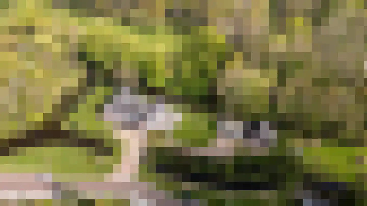 De Finne 7 Ysbrechtum thumbnail 70