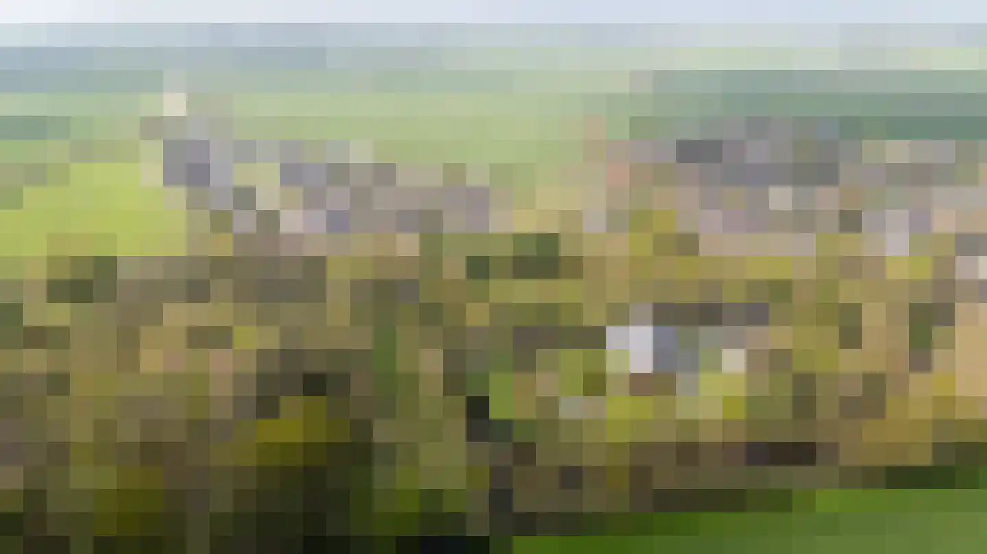 De Finne 7 Ysbrechtum thumbnail 72