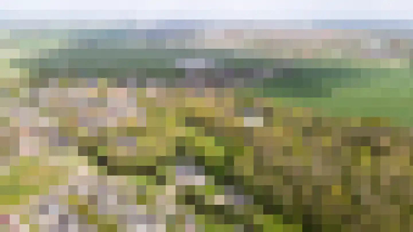 De Finne 7 Ysbrechtum thumbnail 73