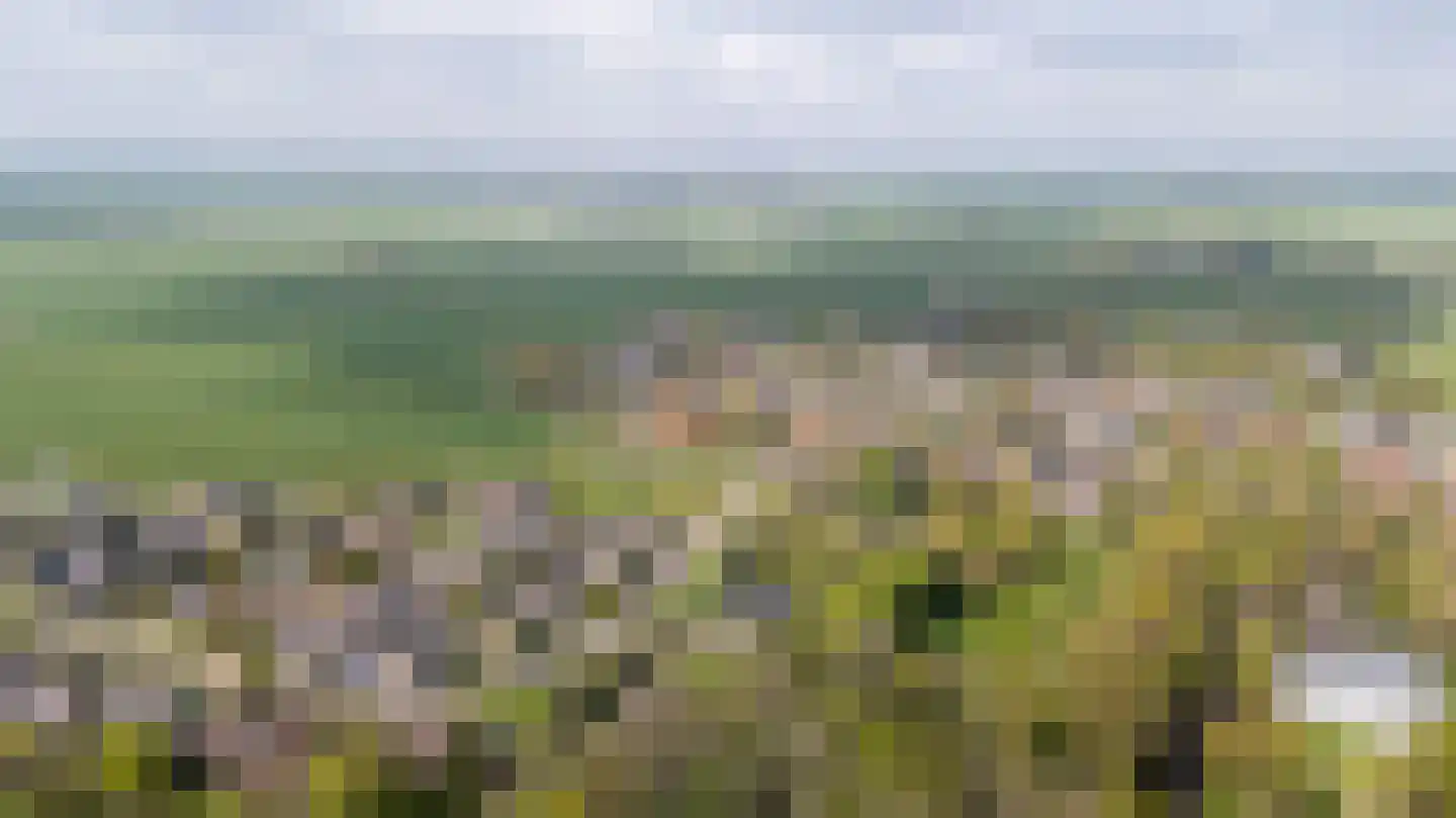 De Finne 7 Ysbrechtum thumbnail 74