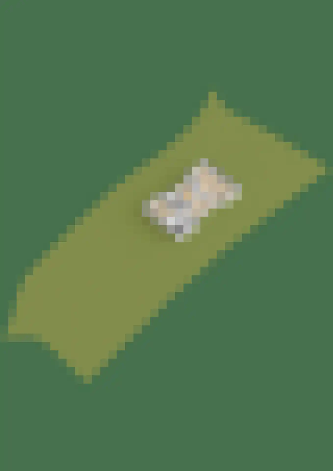 De Finne 7 Ysbrechtum thumbnail 85