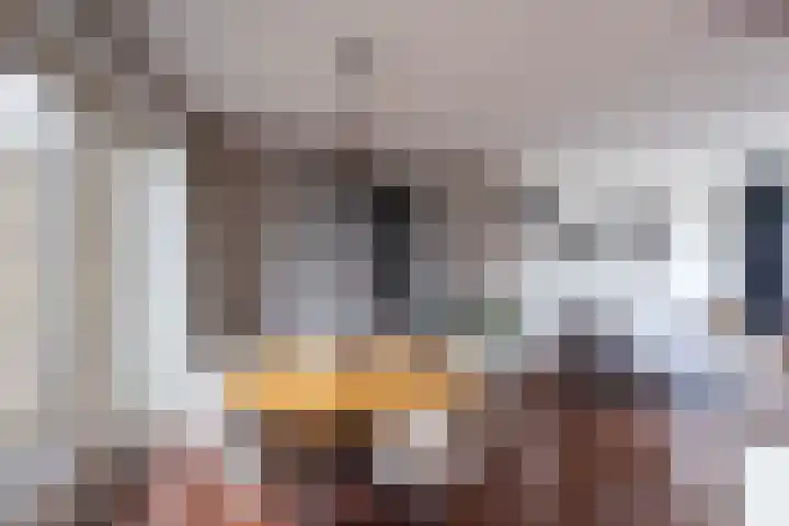 De Finne 8 Sexbierum thumbnail 12