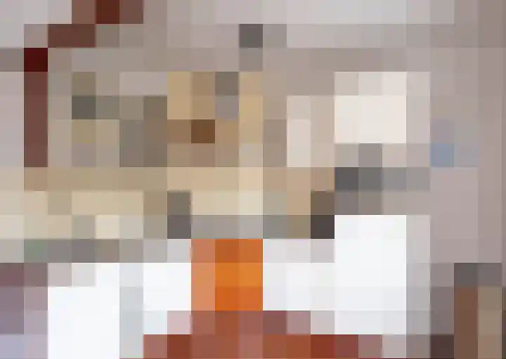 De Finne 8 Sexbierum thumbnail 16