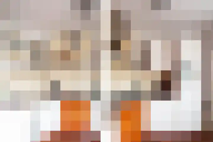 De Finne 8 Sexbierum thumbnail 17