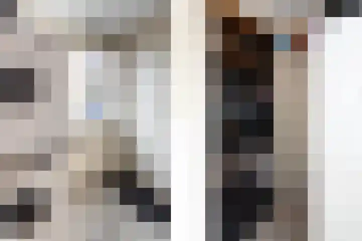 De Finne 8 Sexbierum thumbnail 18