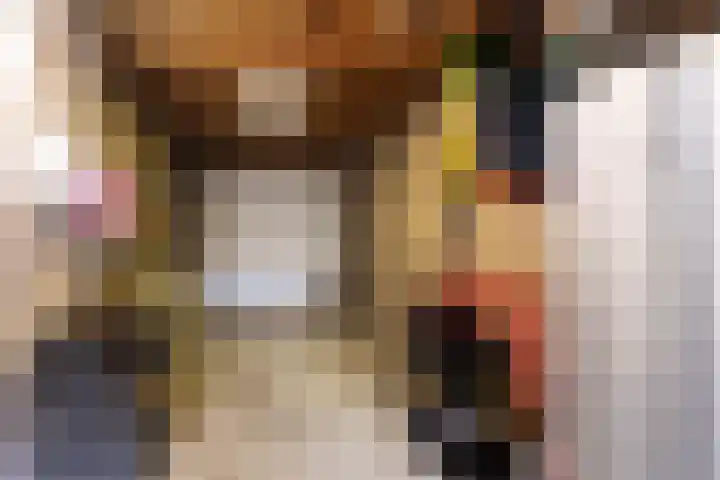 De Finne 8 Sexbierum thumbnail 19