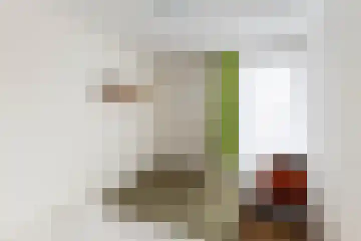 De Finne 8 Sexbierum thumbnail 21