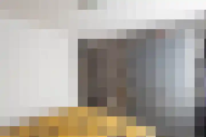De Finne 8 Sexbierum thumbnail 25