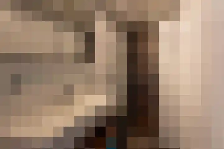 De Finne 8 Sexbierum thumbnail 26
