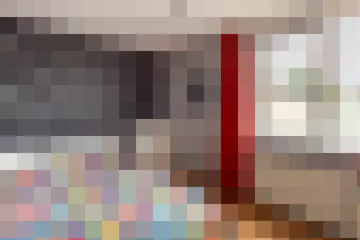 De Finne 8 Sexbierum thumbnail 28