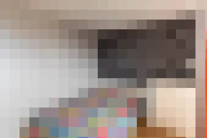 De Finne 8 Sexbierum thumbnail 29
