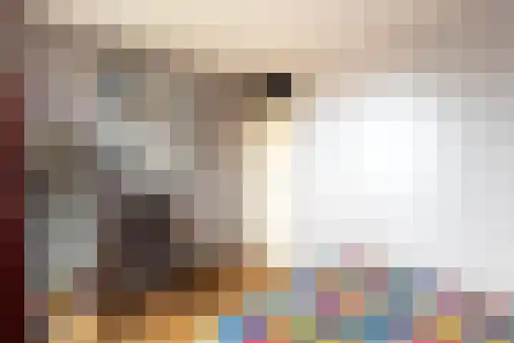 De Finne 8 Sexbierum thumbnail 30