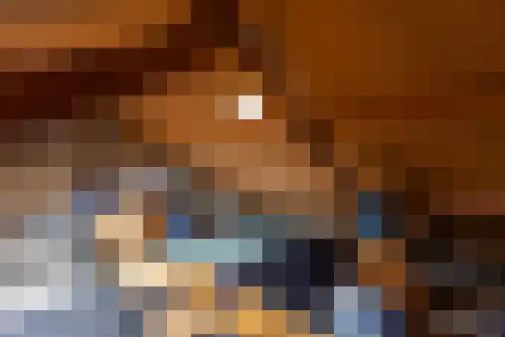 De Finne 8 Sexbierum thumbnail 33