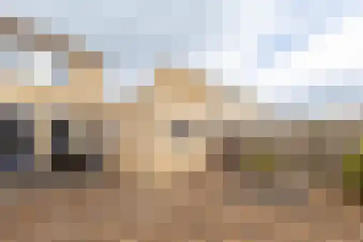 De Finne 8 Sexbierum thumbnail 36