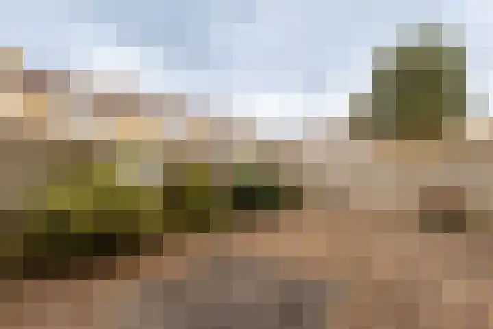 De Finne 8 Sexbierum thumbnail 38
