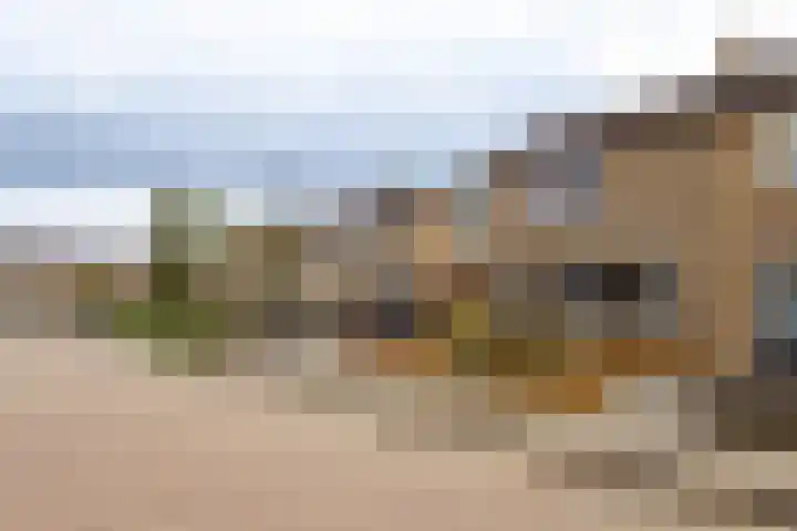 De Finne 8 Sexbierum thumbnail 5