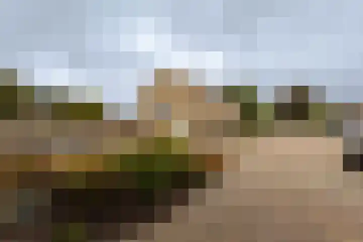 De Finne 8 Sexbierum thumbnail 6
