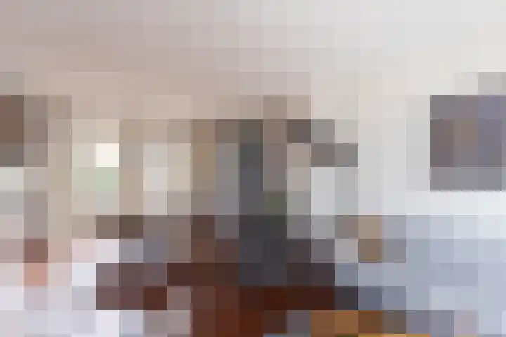 De Finne 8 Sexbierum thumbnail 8