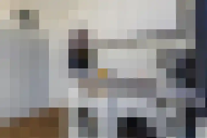 De Finne 9 Joure thumbnail 15