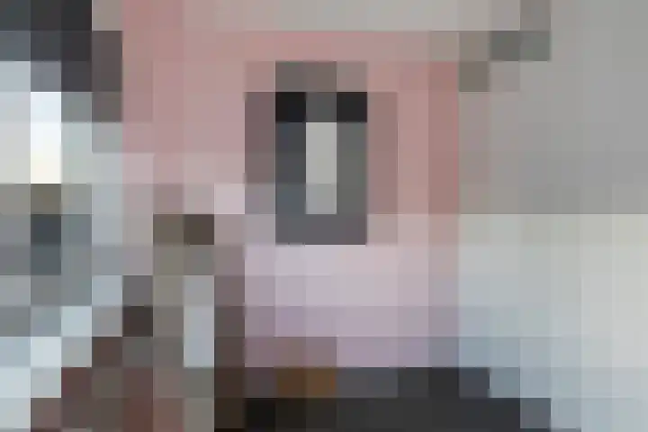De Finne 9 Joure thumbnail 19