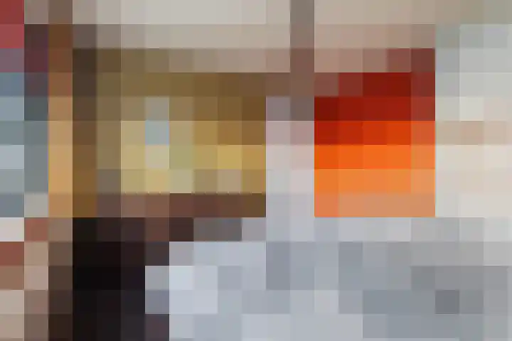 De Finne 9 Joure thumbnail 23
