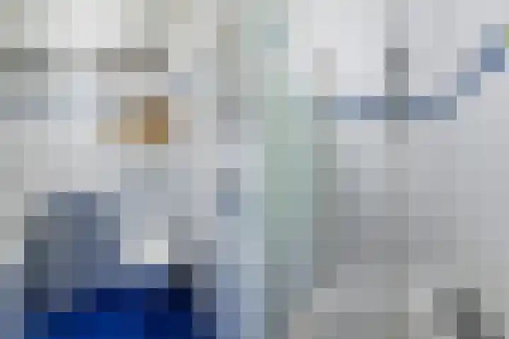 De Finne 9 Joure thumbnail 24