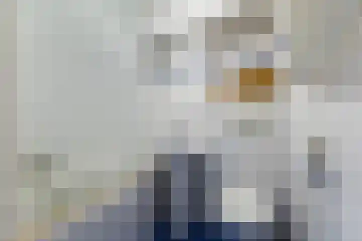 De Finne 9 Joure thumbnail 25