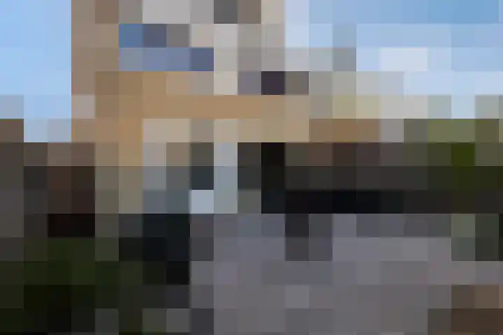 De Finne 9 Joure thumbnail 30