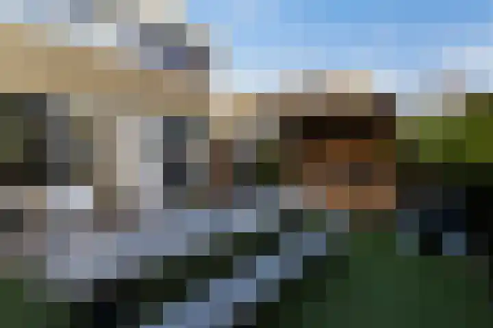 De Finne 9 Joure thumbnail 32