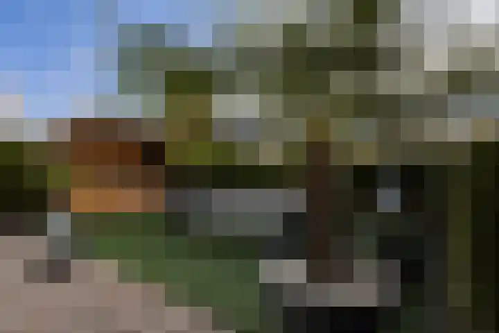 De Finne 9 Joure thumbnail 36