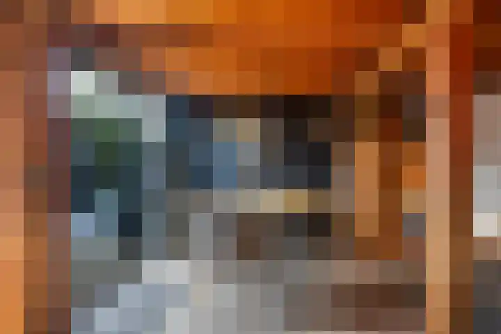De Finne 9 Joure thumbnail 40