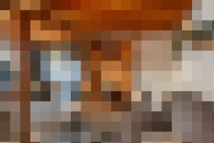 De Finne 9 Joure thumbnail 41