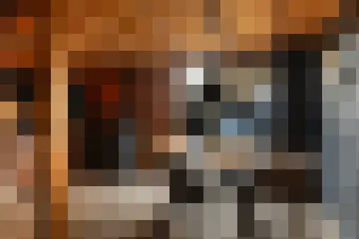 De Finne 9 Joure thumbnail 43