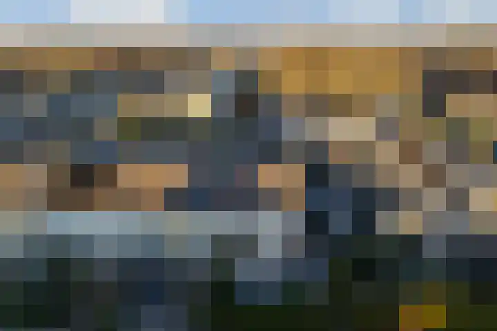 De Finne 9 Joure thumbnail 46