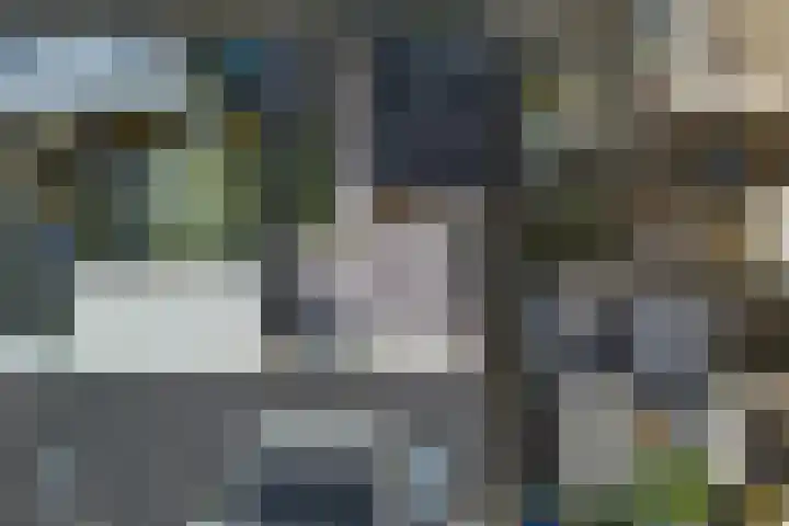 De Finne 9 Joure thumbnail 49