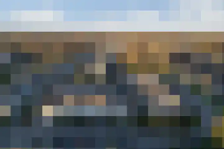 De Finne 9 Joure thumbnail 53