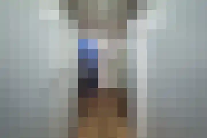 De Finne 9 Joure thumbnail 6