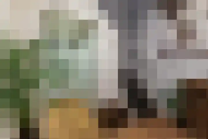 De Finne 9 Joure thumbnail 8
