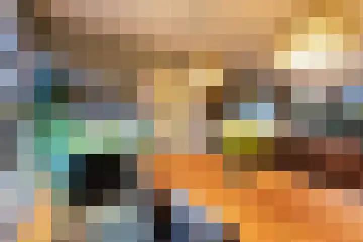 De Finne 9 Joure thumbnail 9