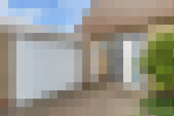 De Finne 9 Menaam thumbnail 10