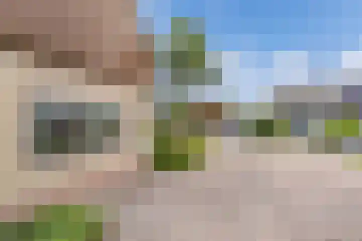 De Finne 9 Menaam thumbnail 11