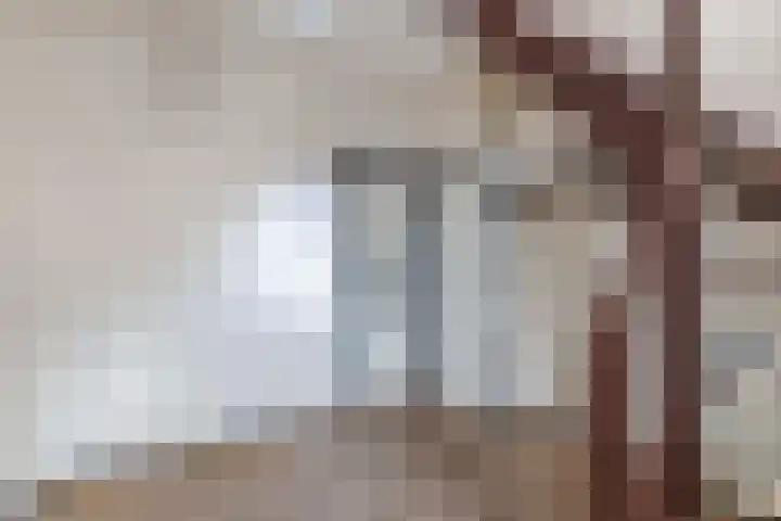 De Finne 9 Menaam thumbnail 12