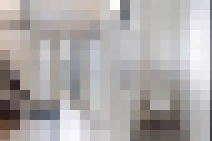 De Finne 9 Menaam thumbnail 13