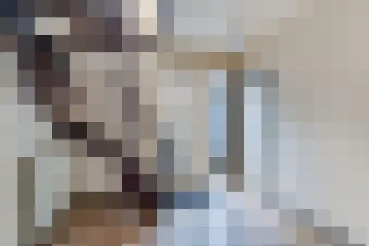 De Finne 9 Menaam thumbnail 14