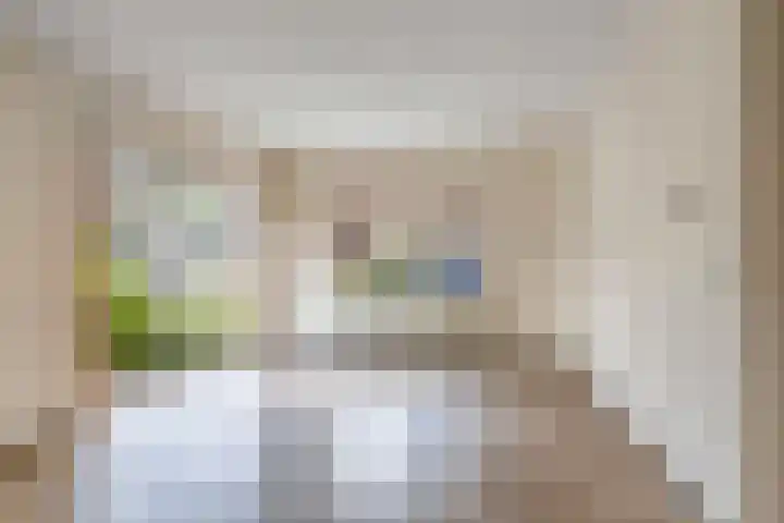 De Finne 9 Menaam thumbnail 15