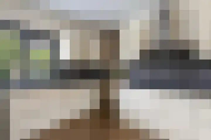 De Finne 9 Menaam thumbnail 18