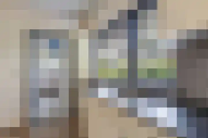 De Finne 9 Menaam thumbnail 19