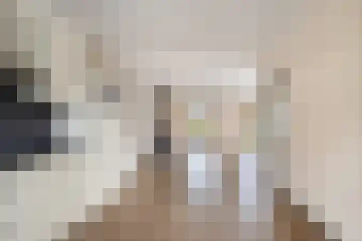 De Finne 9 Menaam thumbnail 20
